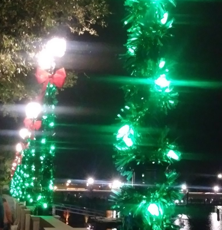 Crane's Roost Park-阿尔塔蒙特斯普林斯必去景点