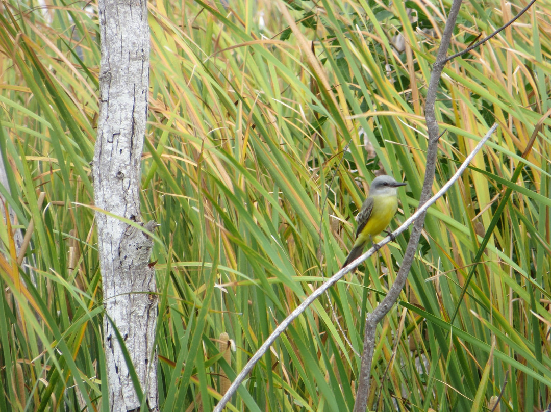 Joan & Scott Holt Paradise Pond-阿兰瑟斯港必去景点