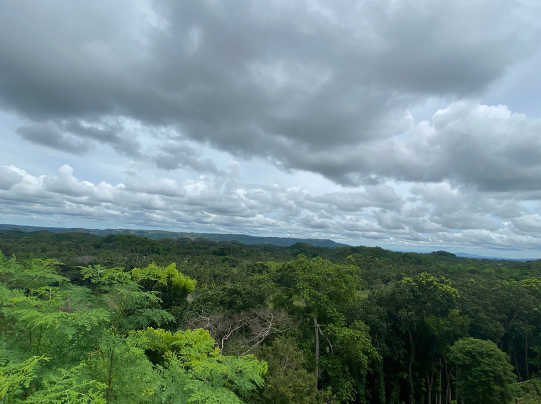 Chocolate Hills Complex主图