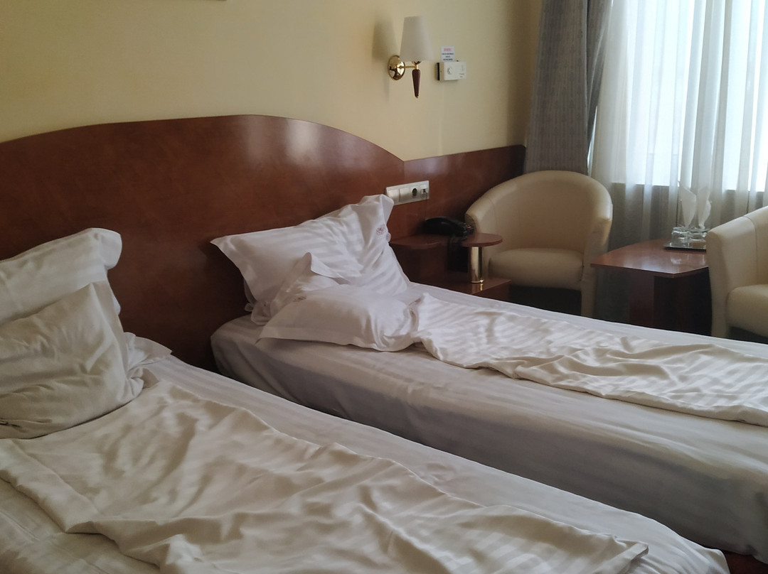 Hotel Carpati主图