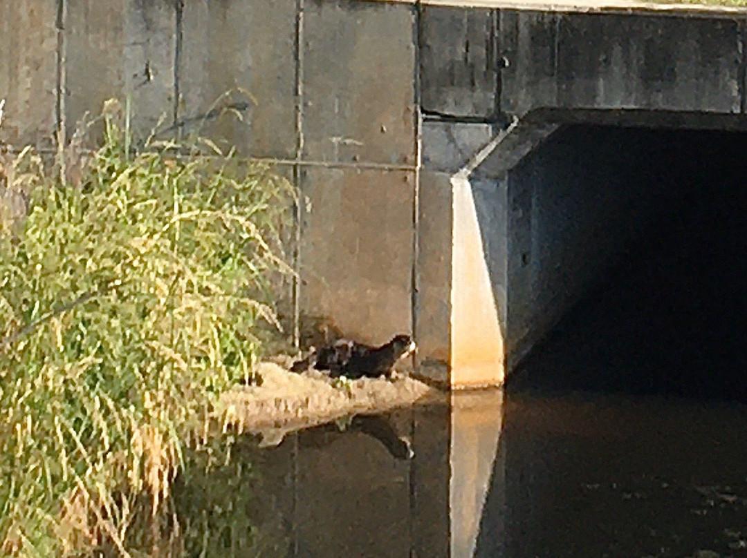 El Rio Trail-博卡拉顿必去景点