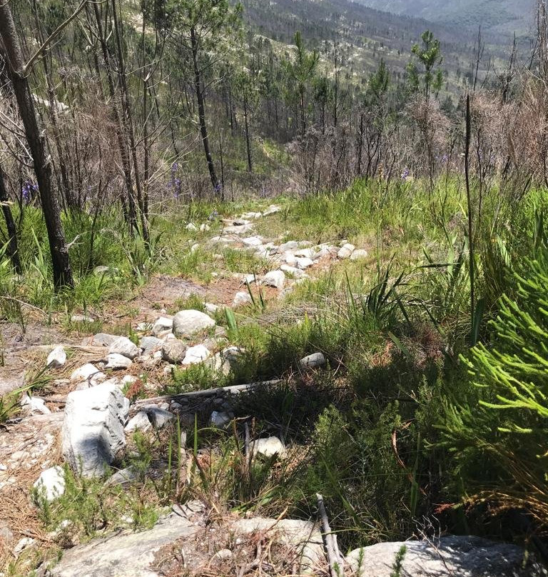 Tsitsikamma Mountain Trail景点图片