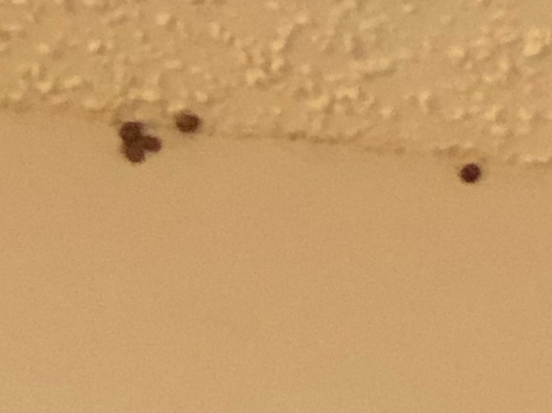 DoubleTree by Hilton Hotel Baton Rouge主图