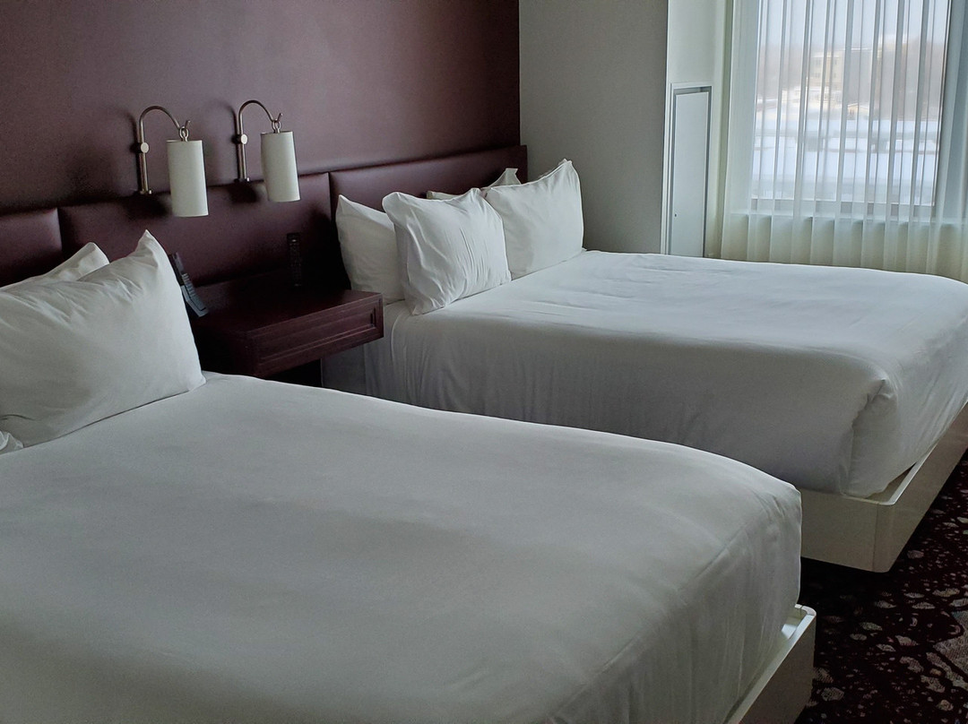 The Elizabeth Hotel, Autograph Collection主图