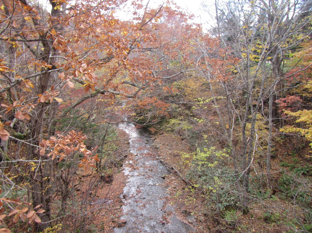 Yacho Bridge-上砂川町必去景点
