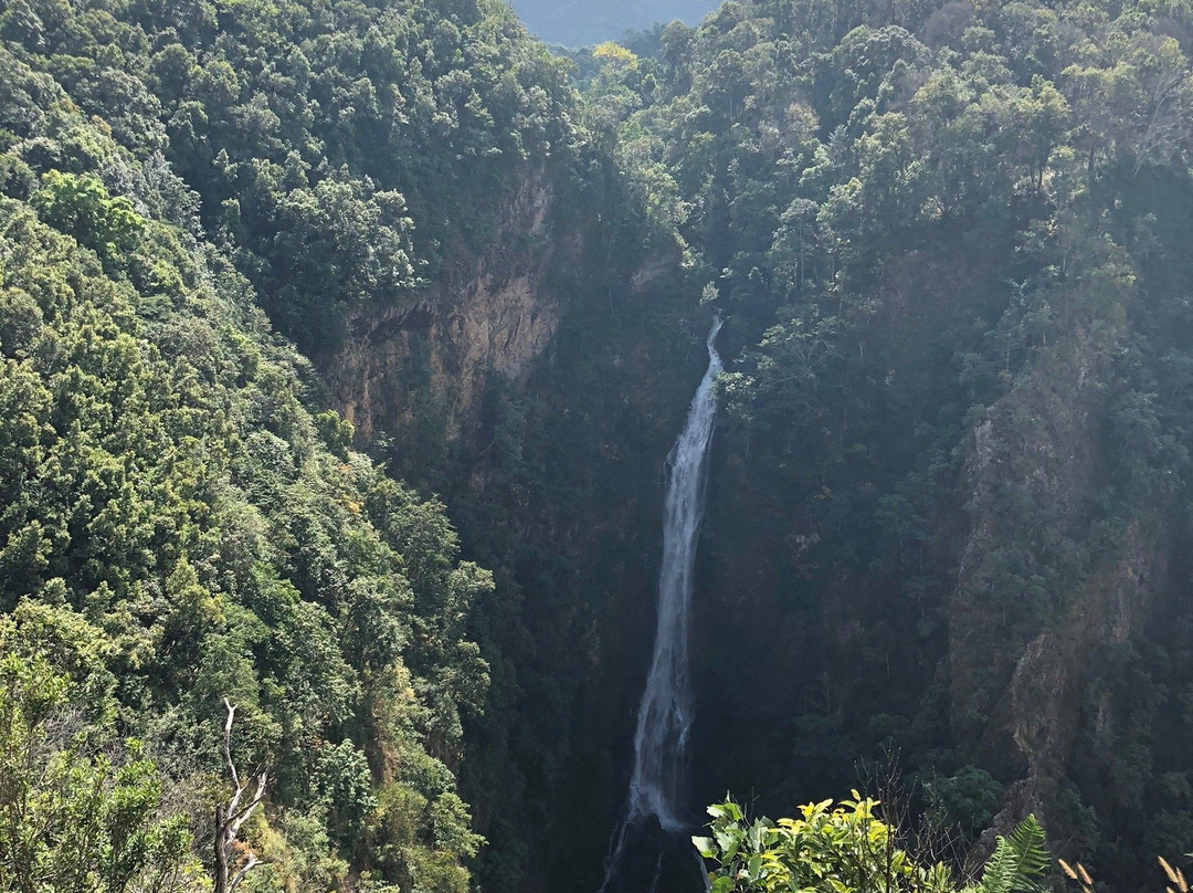 Mae Surin Waterfall景点图片