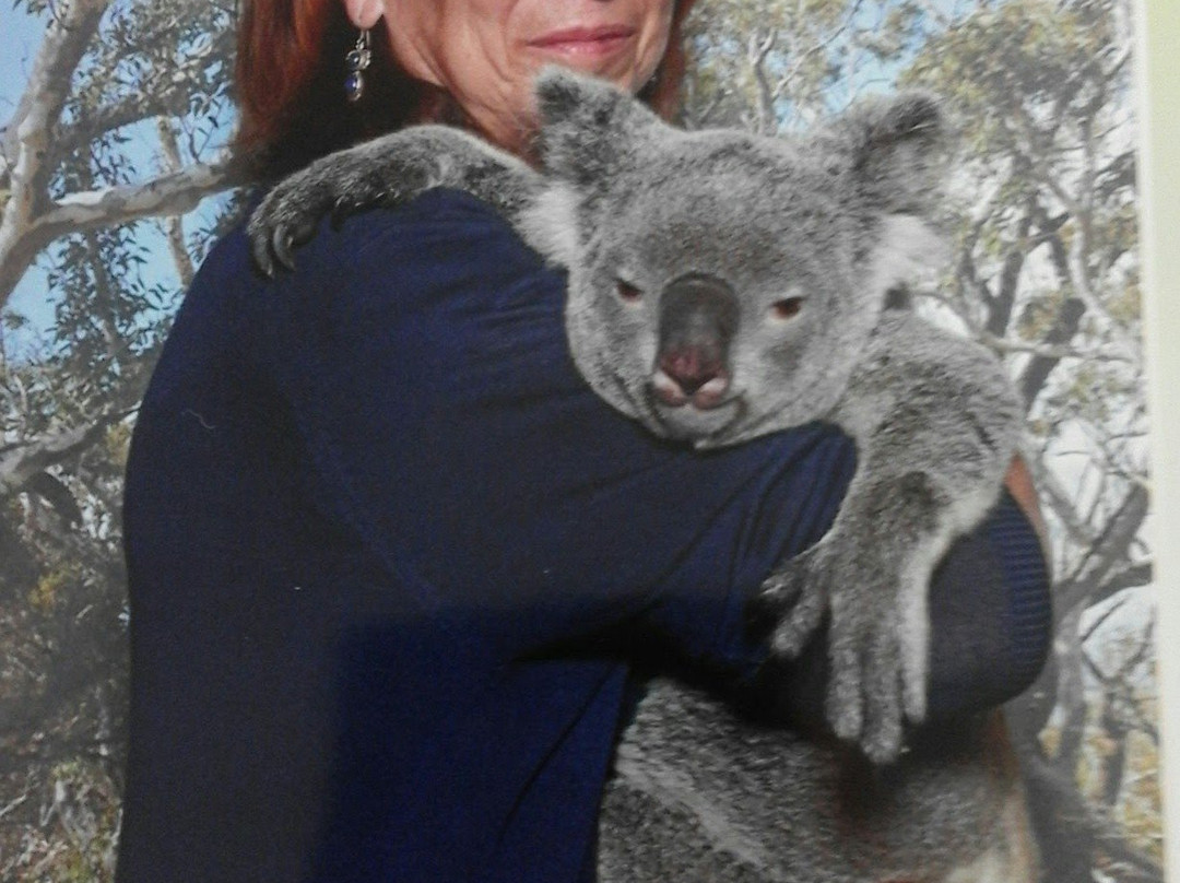 Koala Park Sanctuary景点图片