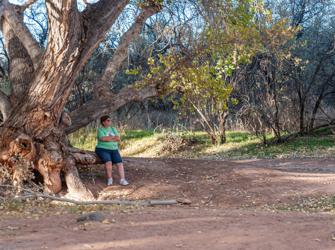 Verde River - Tuzigoot Access Point-Clarkdale必去景点