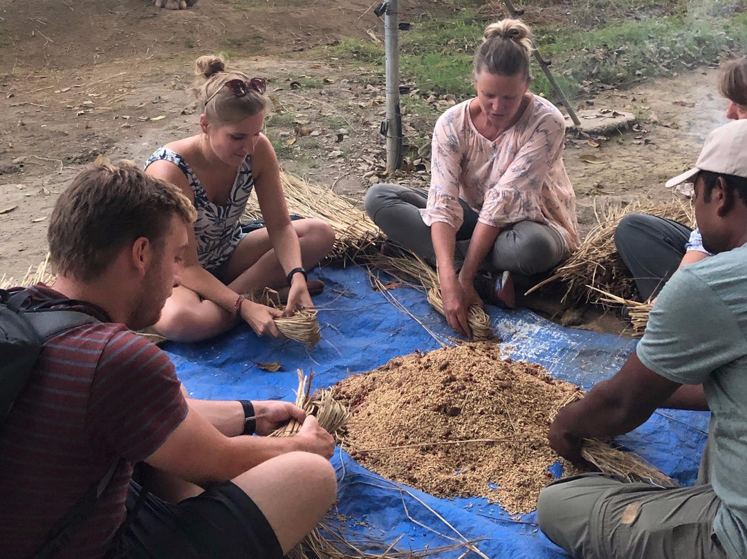 Everything Elephant-苏拉哈必去景点