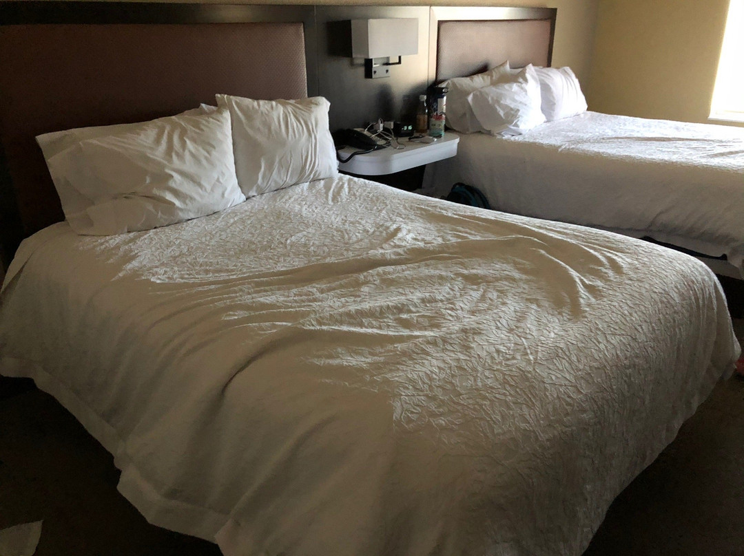 拉勒米希尔顿恒庭酒店主图