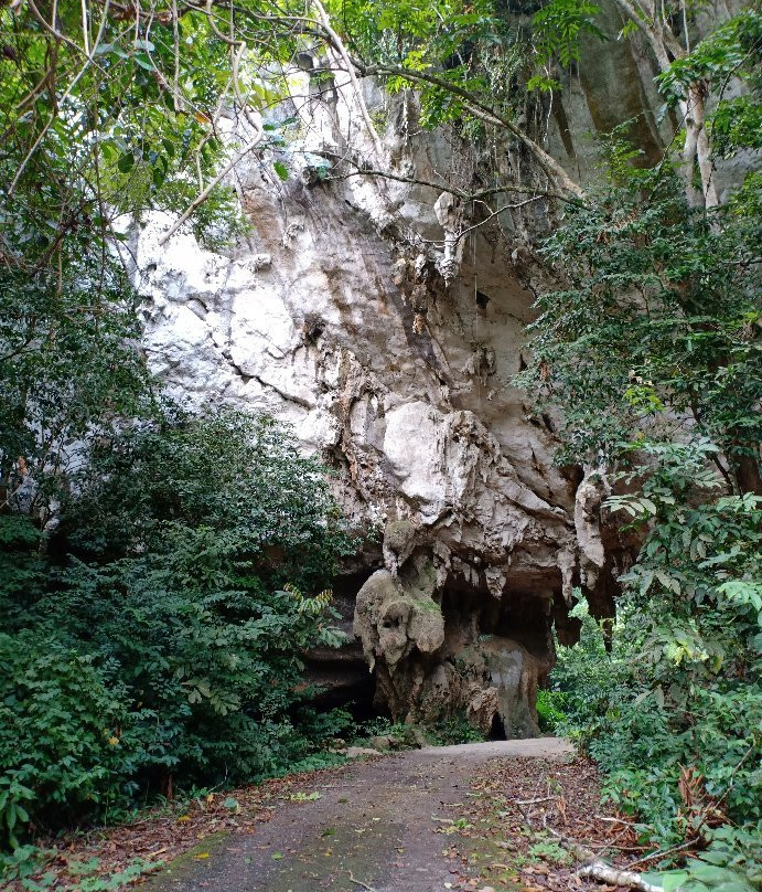 Kota Gelanggi Caves景点图片