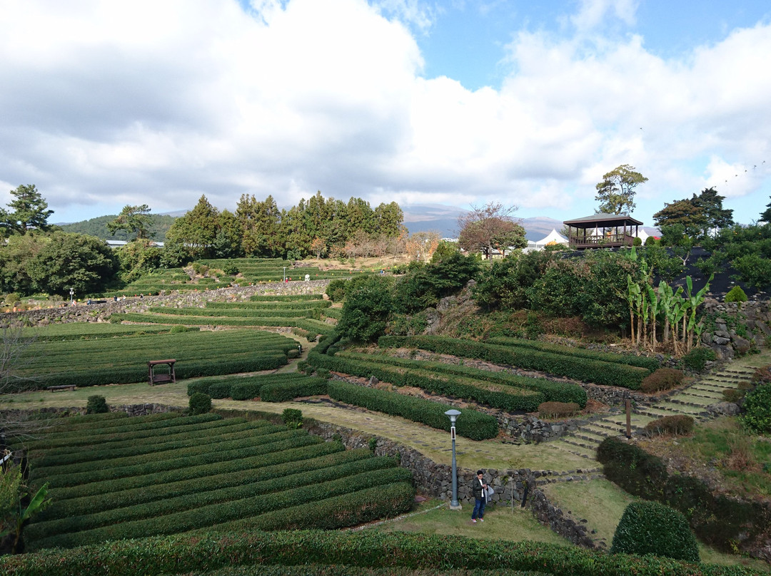 Citrus Museum景点图片