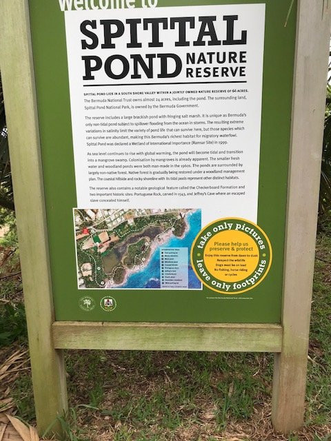 Spittal Pond Nature Reserve景点图片