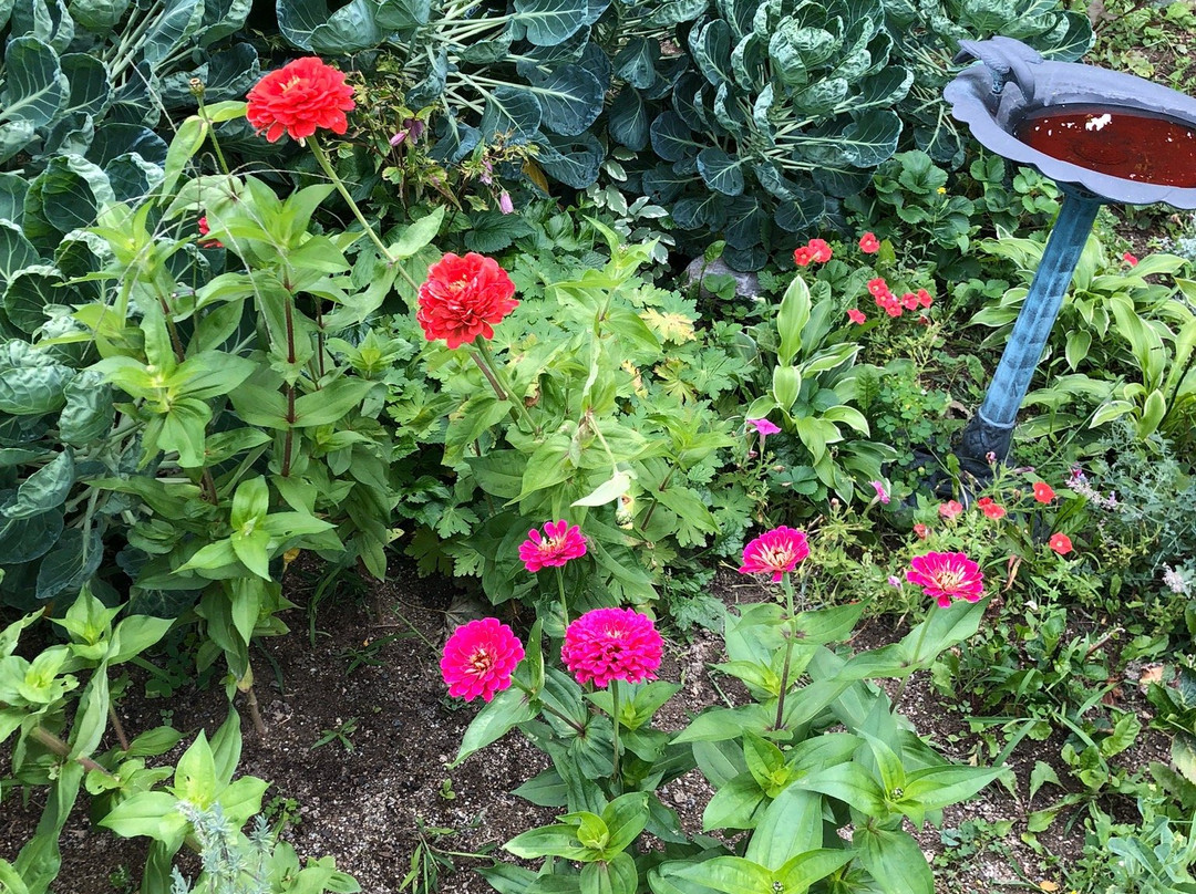 Windsor旅游攻略图片