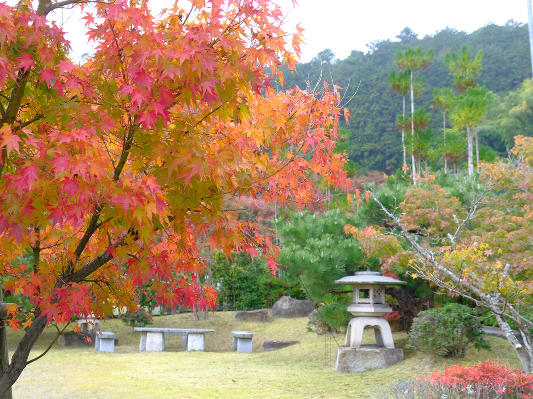 Myoshu-ji Temple-龟冈市必去景点