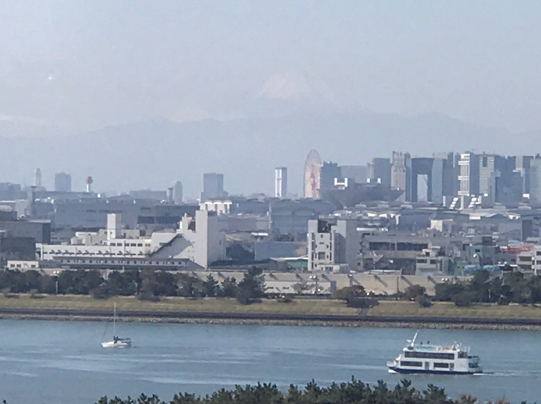 Diamond and Flower Ferris Wheel-江戸川区必去景点