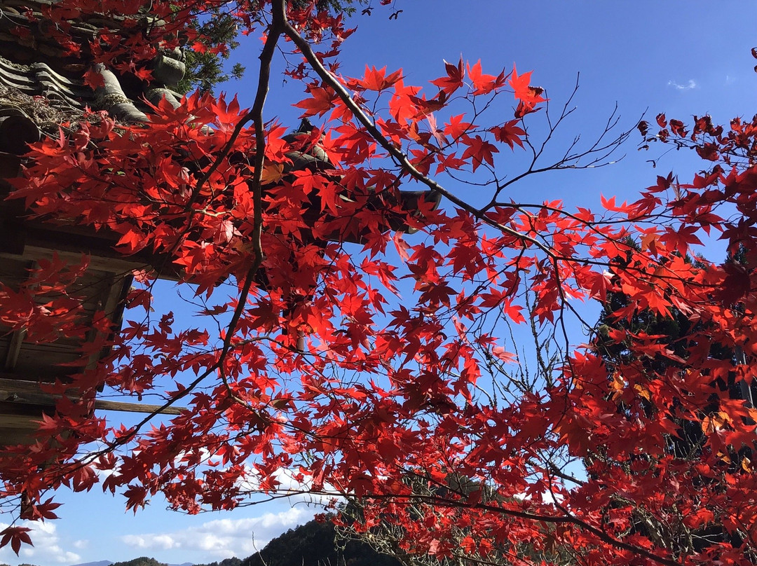 Ryuonji Temple-南丹市必去景点