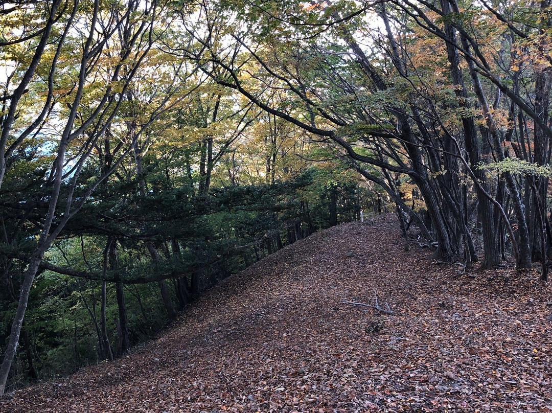 Mt. Gozen-奥多摩町必去景点