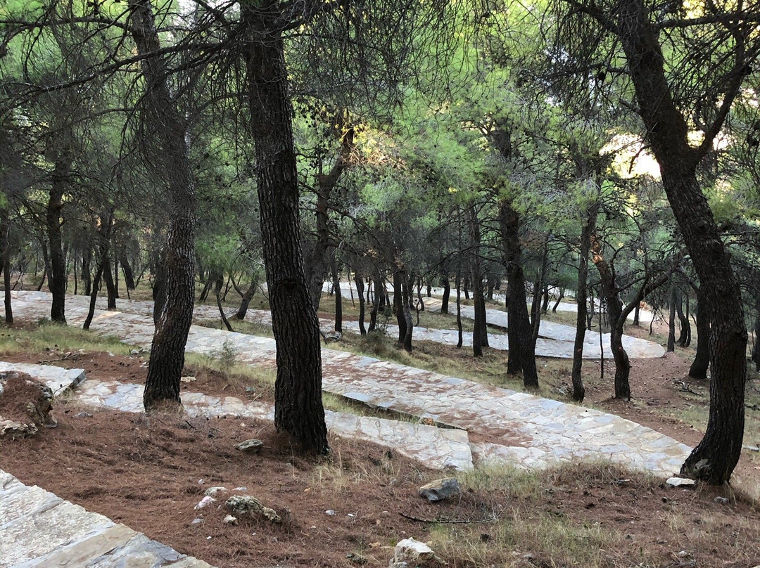 Profitis Ilias Monastery Hydra-Hydra必去景点