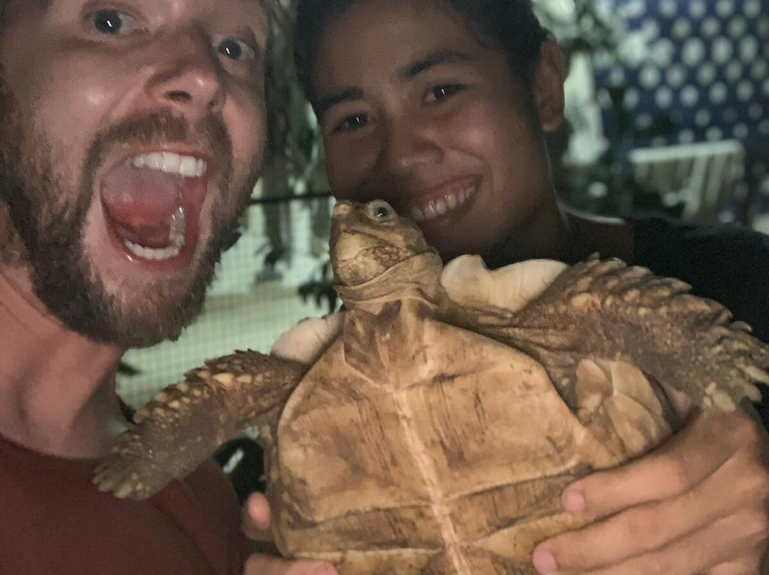 卡马拉酒店主图