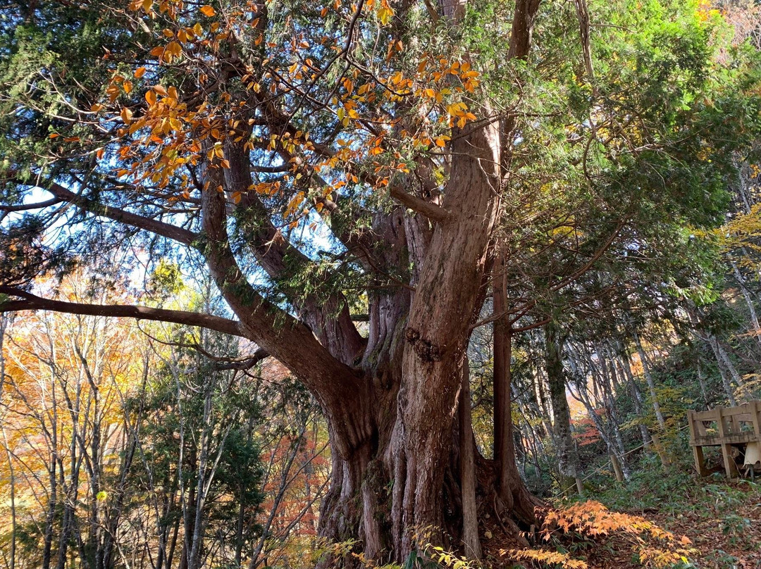 Happy Tour-高山市必去景点