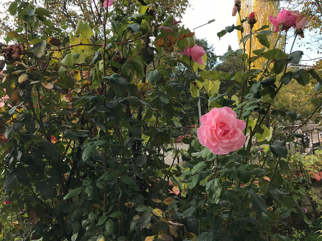 Safranbolu Camlica Konagi Çarşı EVi主图