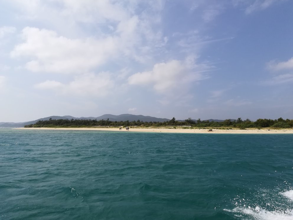 Bird Island景点图片