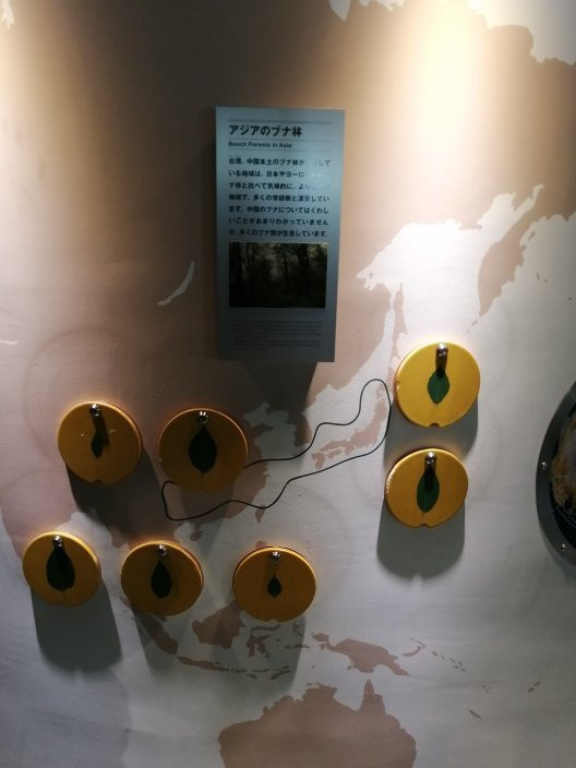 Shirakami Sanchi Visitor Center景点图片