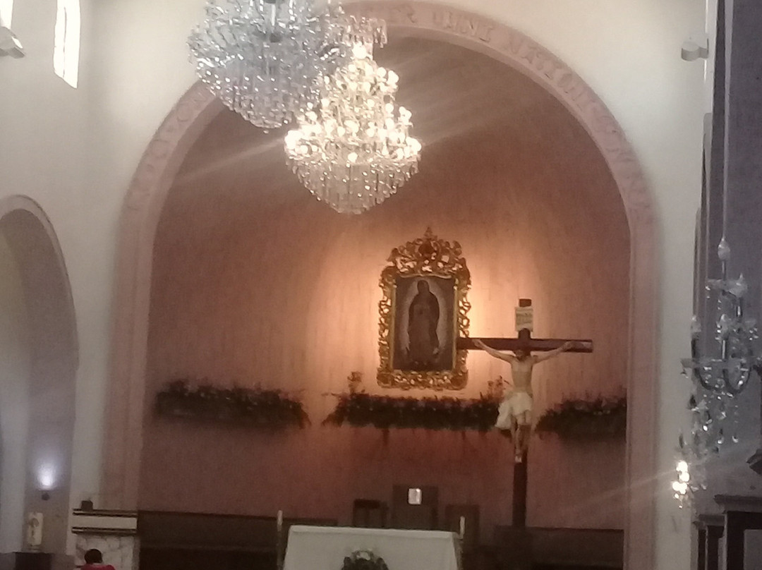 Cathedral Of Our Lady Of Guadalupe景点图片