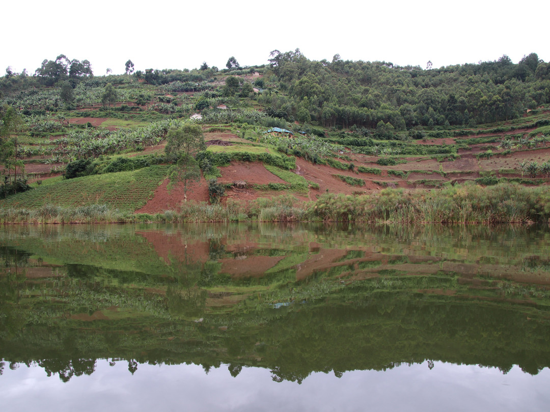Mambo Gorilla Safari Uganda-吉佳利必去景点