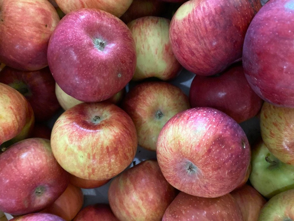 Irons Fruit Farm-Lebanon必去景点