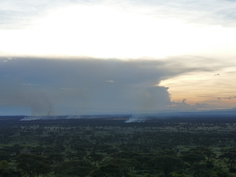 Parkview野生动物园旅馆主图