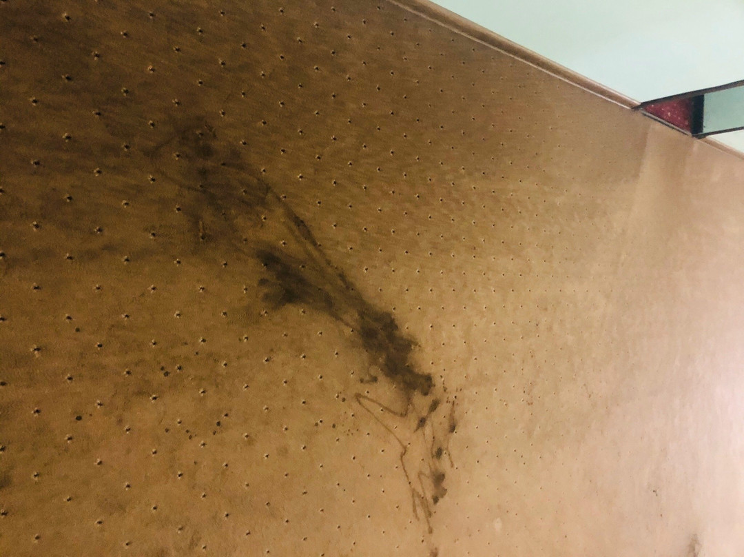 Hotel Pervomayskaya主图