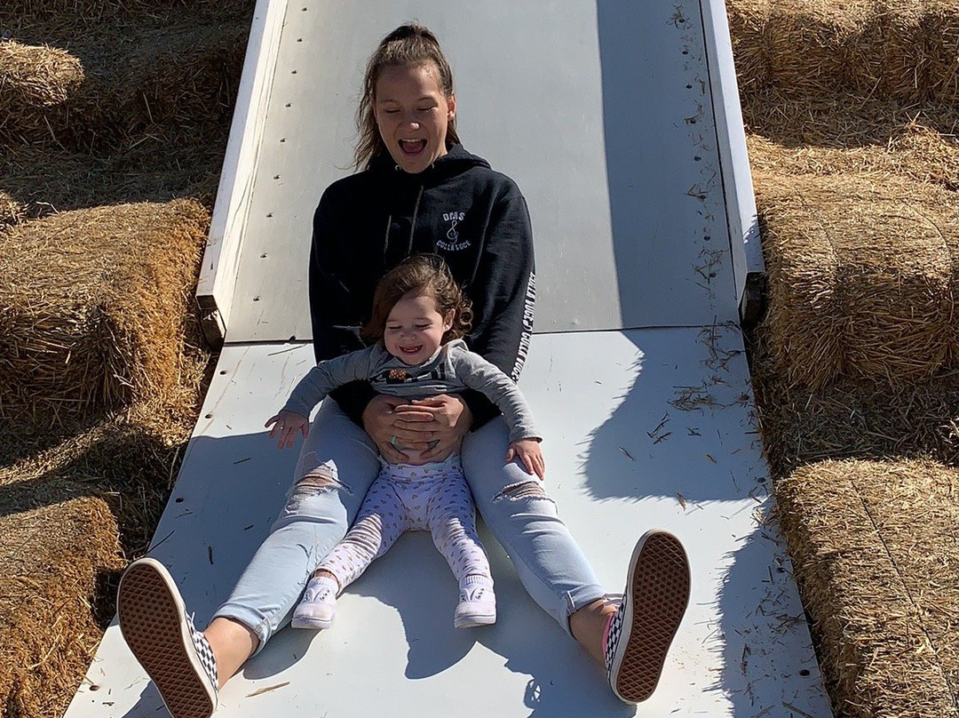 Relleke Pumpkin Patch