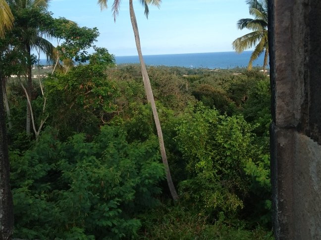 Imbassai Beach-Imbassai必去景点