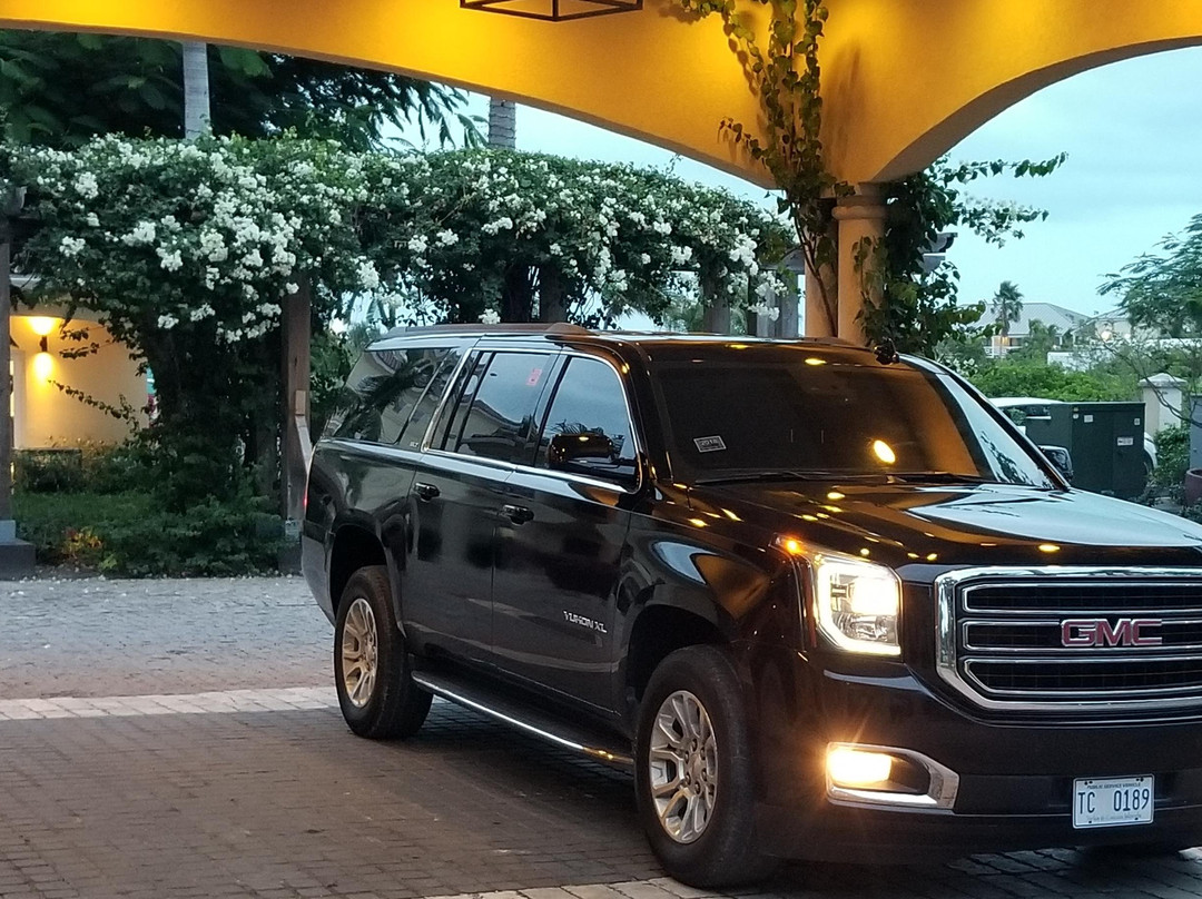 Trans-Palm T.C.I Limited-普罗维登西亚莱斯必去景点