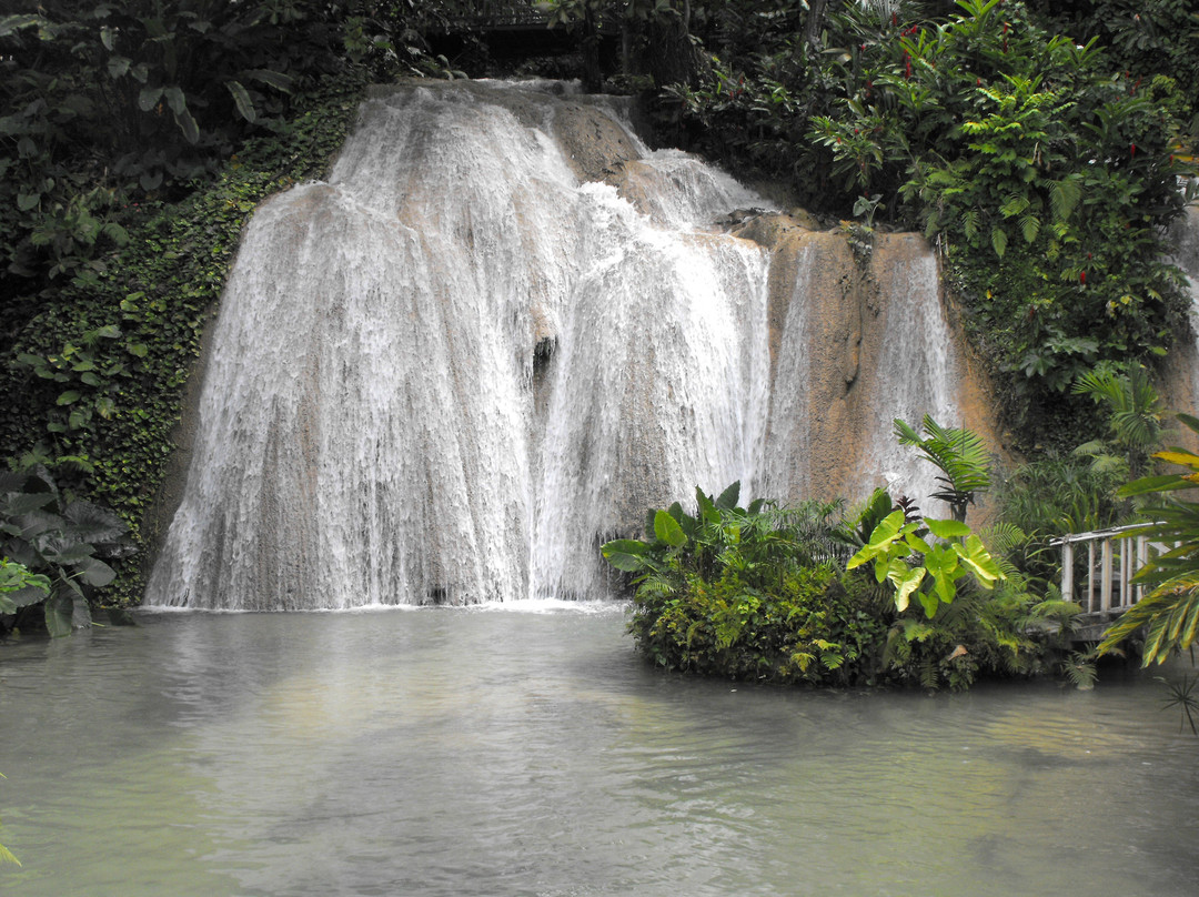Grand Jamaica and Dunns River Falls Tour-法尔茅斯必去景点
