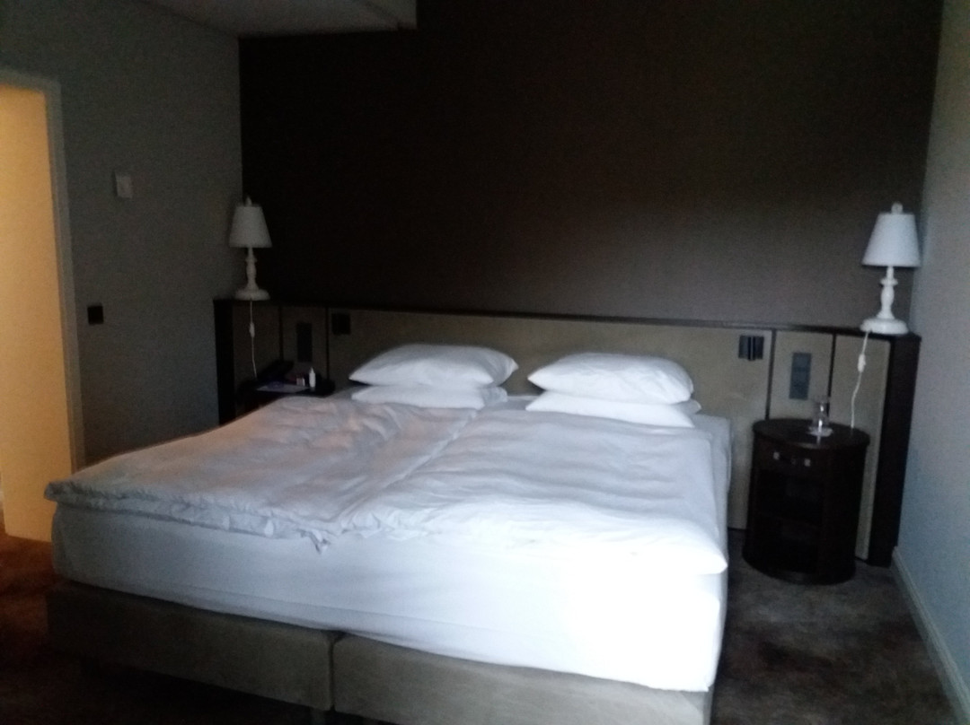 弗列森希尔雷迪森布鲁度假城堡酒店主图