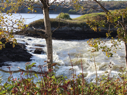 Roy's Tours-圣约翰必去景点