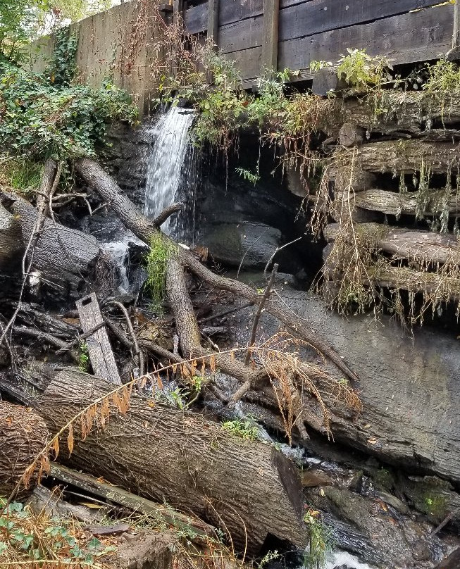 Blowing Cave Mill-塞维尔维尔必去景点
