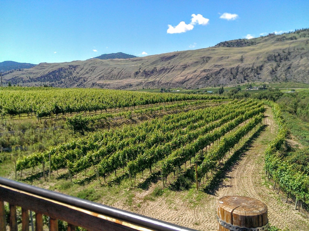 Platinum Bench Estate Winery景点图片
