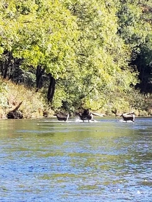 On the Water-Floyd必去景点