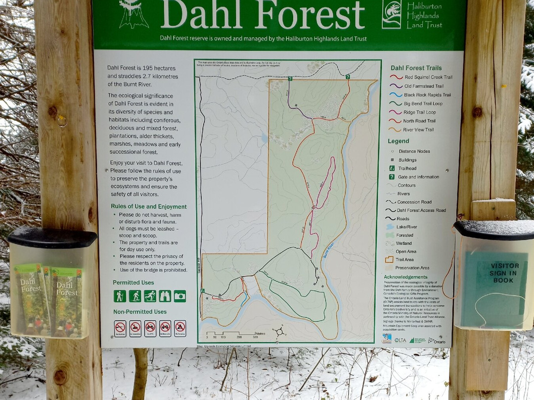 Dahl Forest景点图片