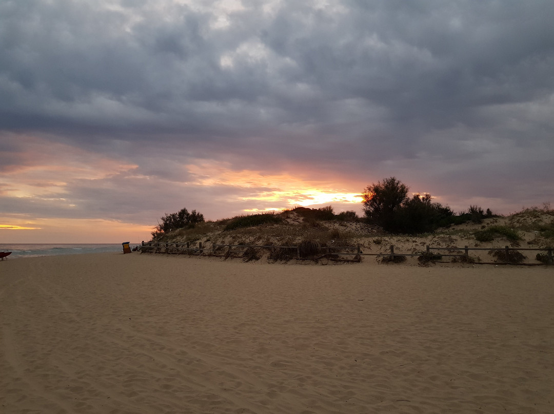 Hotel Gold Beach主图