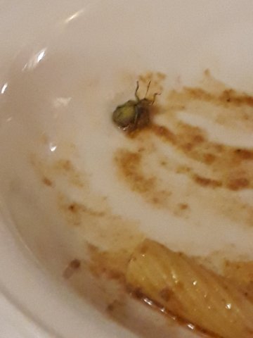 汽车公园酒店-portrait