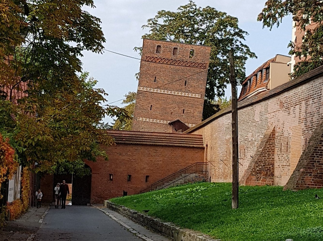Krzywa Wieża景点图片
