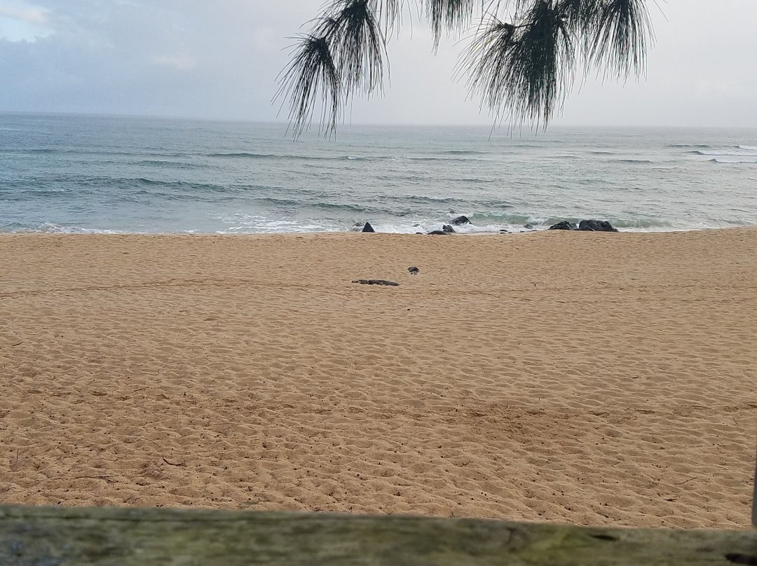 Chun's Reef Beach景点图片