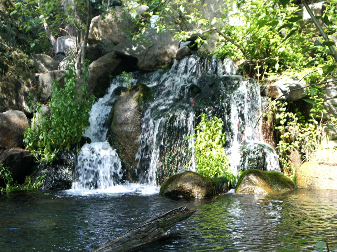 Morrison-Knudsen Nature Center景点图片