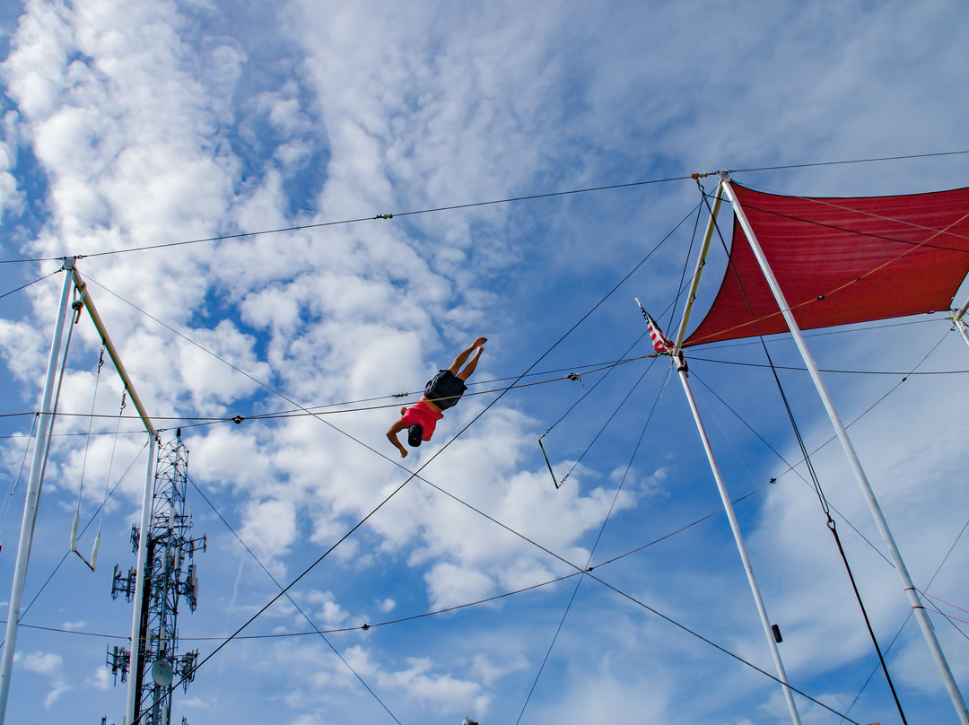 Miami Flying Trapeze景点图片