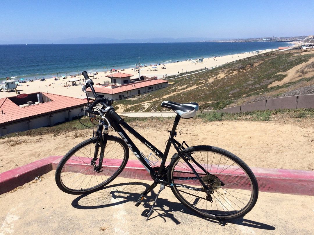 Marina Bike Rentals
